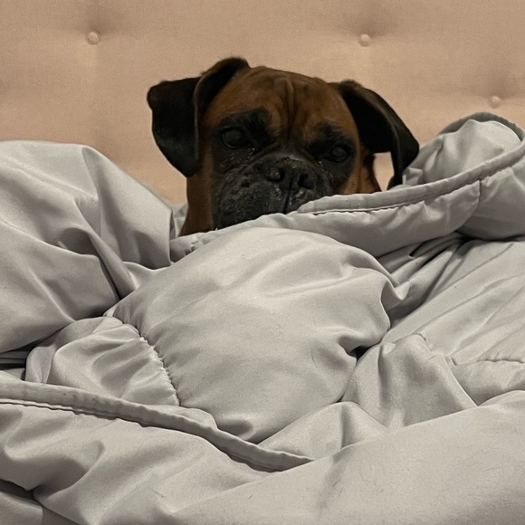 Meet your Posher, Zoë - Picture 8 of 10